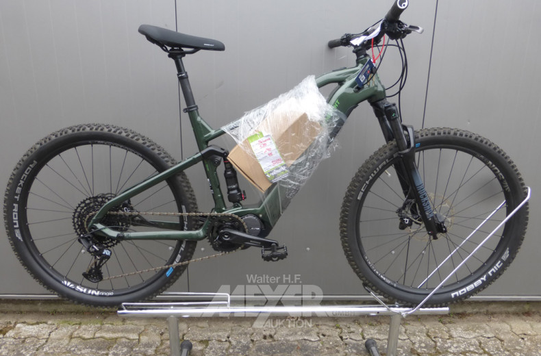 E-Bike, tannenwald