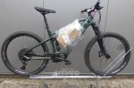 E-Bike, tannenwald