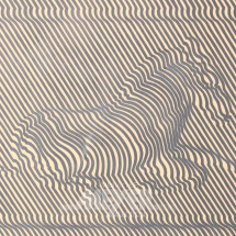 Los 3603: Lithographie ''Zebra'',