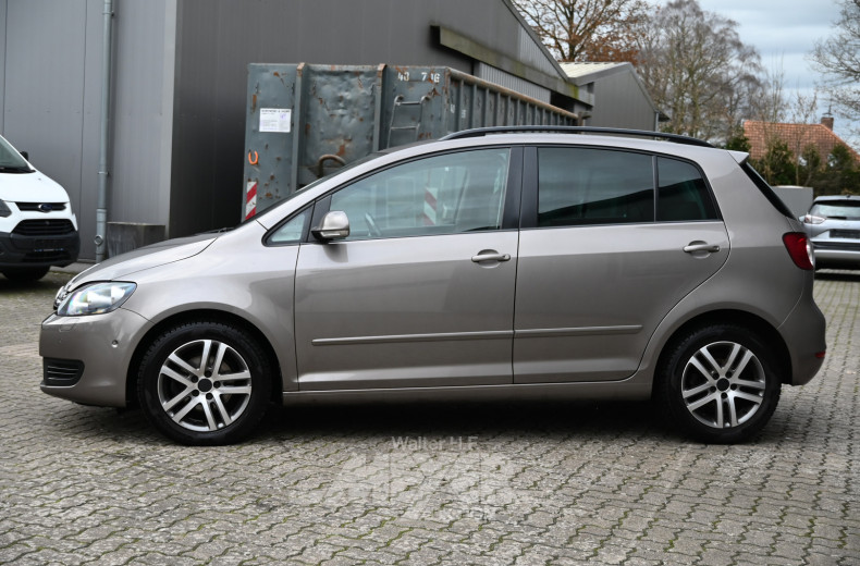 VOLKSWAGEN Golf Plus, braun