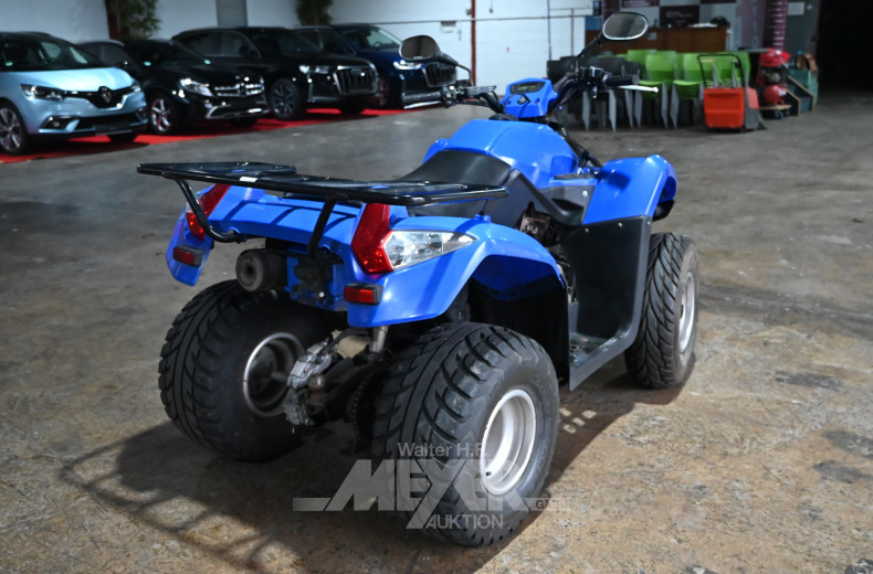 Quad KYMCO MXU 250