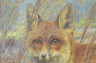 Gemälde ''Fuchs''