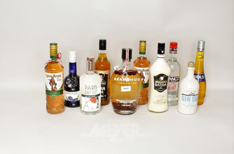 10 Flaschen Spirituosen, u.a.: GIN, LIQUEUR