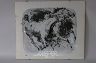 Lithografie ''Pferde'',