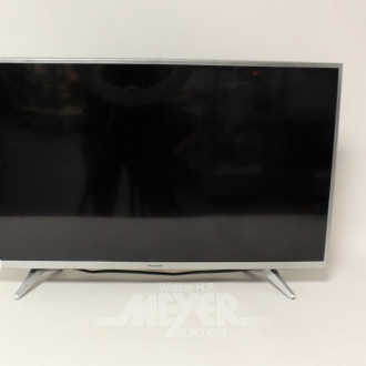 TV-Gerät PANASONIC TX-32LSW504S, mit FB