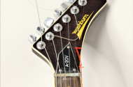 E-Gitarre im Koffer, WASHBURN A-20V,