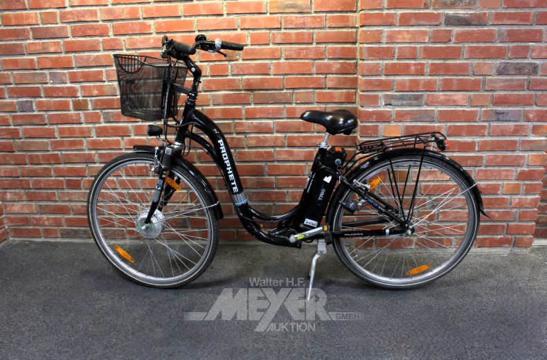 E-Bike PROPHETE HOB E-Bike 100,