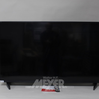 LCD-TV-Gerät 50'', SHARP  Mod.:50BJ2EE